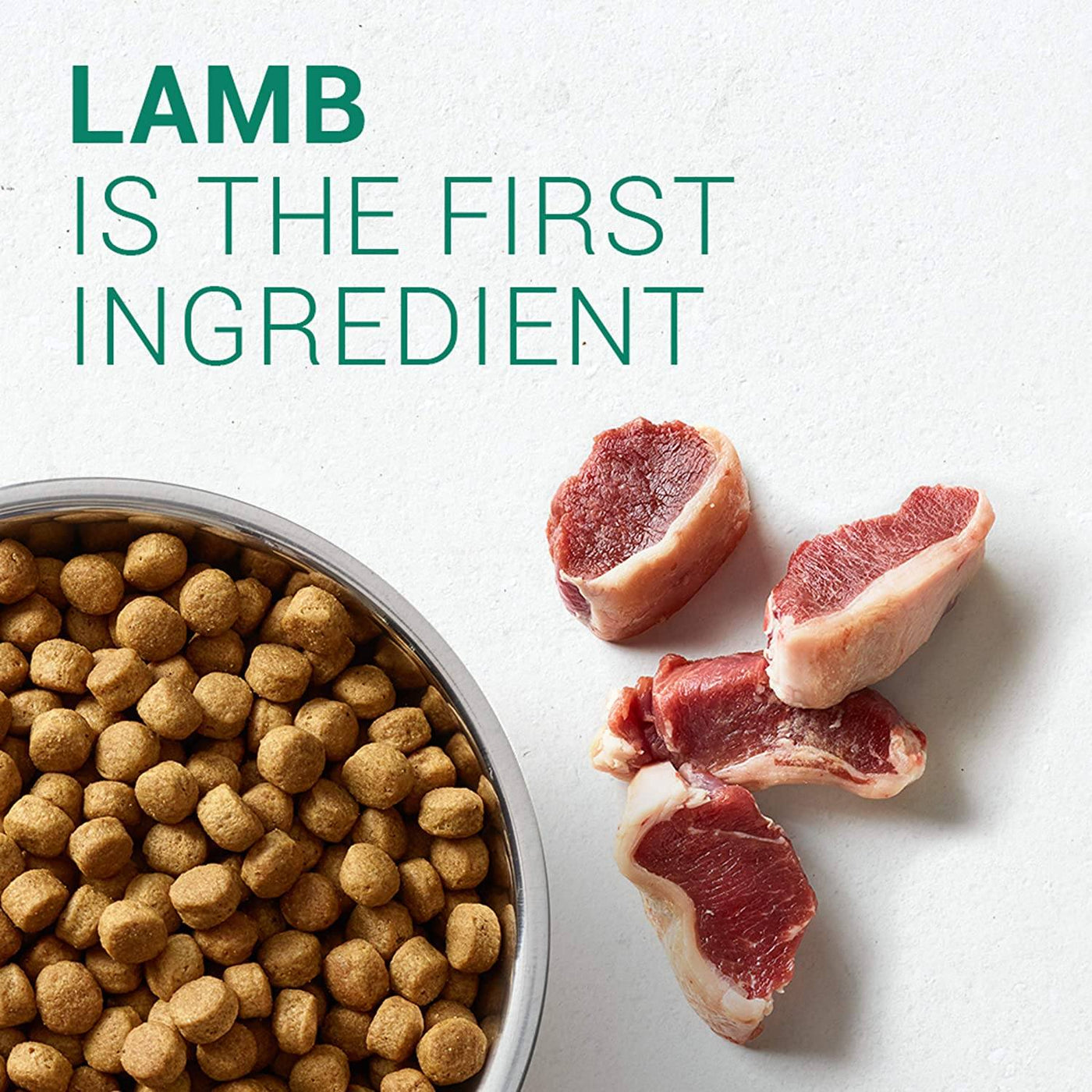 Dog food with clearance lamb as first ingredient