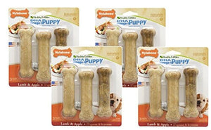 Nylabone Healthy Edibles Puppy Natural Chew Dog Biscuits Treats - Lamb/Apple - Reg
