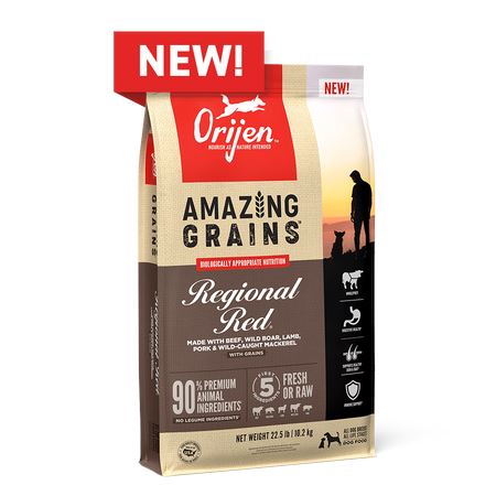 Orijen Amazing Grains Regional Red Dry Dog Food - 4 lb Bag  