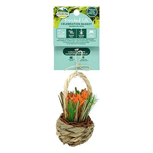 Oxbow Enriched Life Celebration Basket - pack of 3  