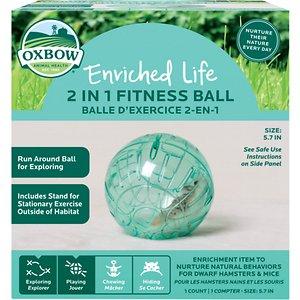 Oxbow Enriched Life Elife - 2 in 1 Fitness Ball