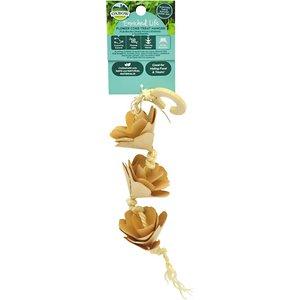 Oxbow Enriched Life Elife - Flower Cone Treat Hanger - pack of 3