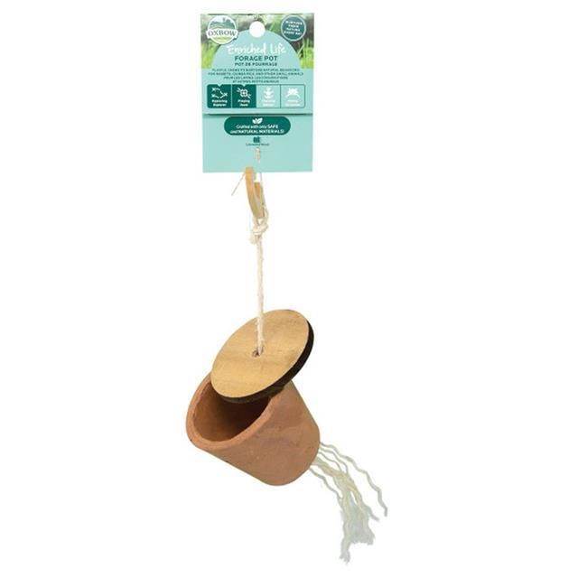 Oxbow Enriched Life Forage Pot - pack of 3
