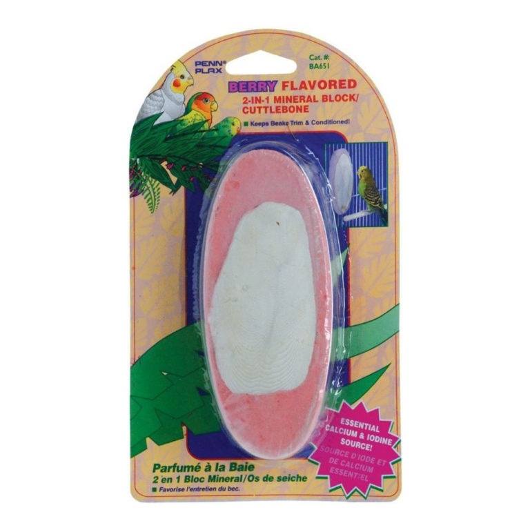 Penn Plax Mineral Block e-Cuttlebone - Berry  