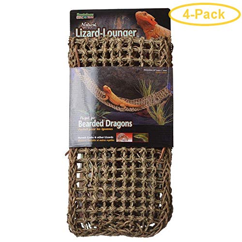 Penn Plax Natural Lizard Lounger - X-Large  