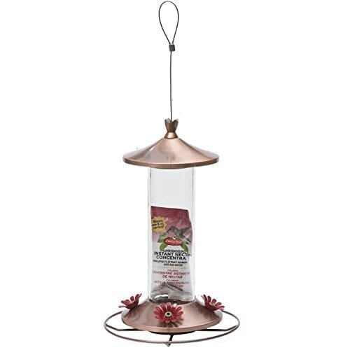 Perky-Pet Elegant Glass Hummingbird Feeder - Copper - 12 Oz Cap  