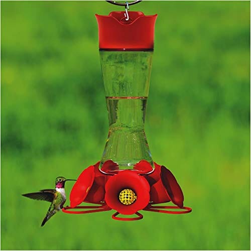PerkyPet Pinch Waist Glass Hummingbird Feeder Clear/Red 16 Oz Cap