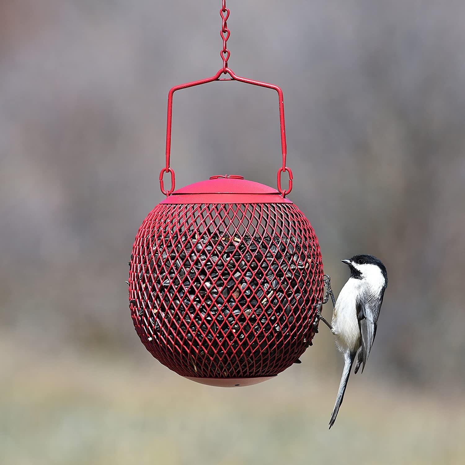 Perky-Pet Seed Ball Wild Bird Feeder - Red - 2 Lbs Cap  