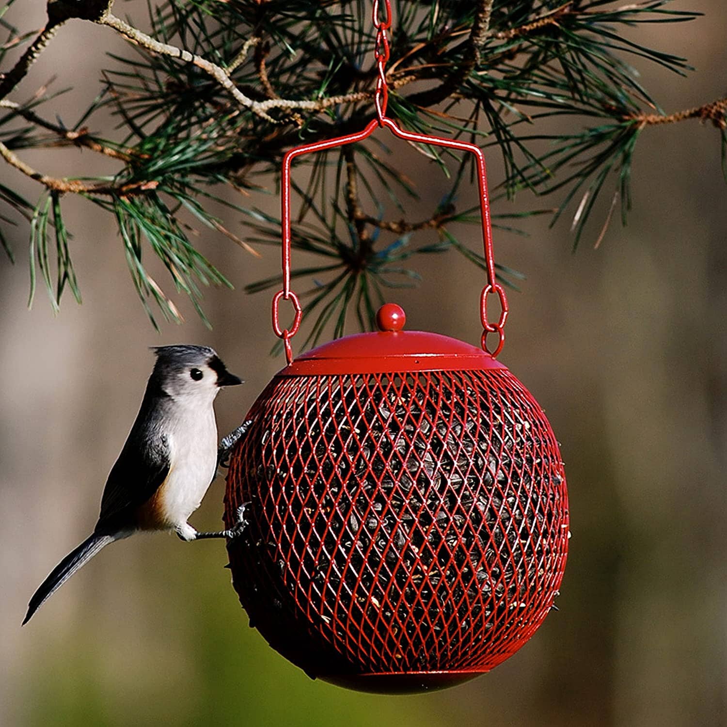 Perky-Pet Seed Ball Wild Bird Feeder - Red - 2 Lbs Cap  