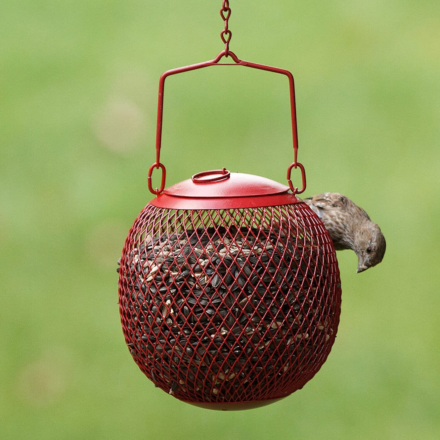 Perky-Pet Seed Ball Wild Bird Feeder - Red - 2 Lbs Cap  