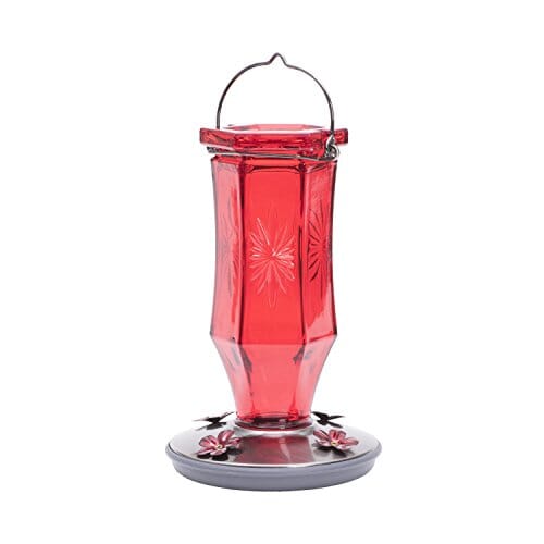 Perky-Pet Starburst Glass Vintage Hummingbird Feeder - Red - 16 Oz Cap - 2 Pack  