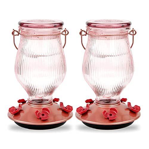 Perky-Pet Top-Fill Glass Hummingbird Feeder - Gold - 24 Oz Cap - 2 Pack  