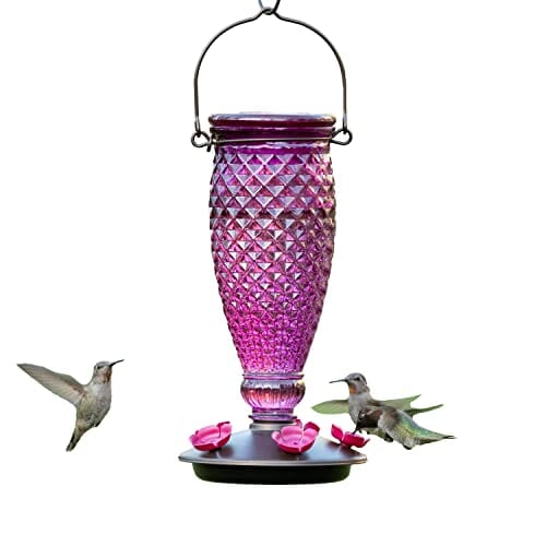 Perky-Pet Top-Fill Glass Hummingbird Feeder - Wine - 24 Oz Cap - 2 Pack  