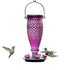 Perky-Pet Top-Fill Glass Hummingbird Feeder - Wine - 24 Oz Cap - 2 Pack  