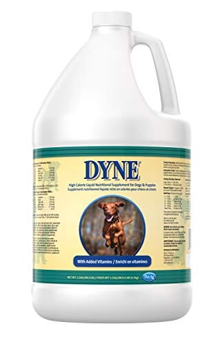 Pet Ag Dyne High Calorie Supplement for Dogs - 1 Gal