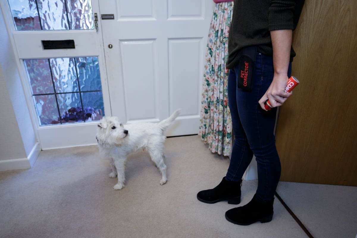 Pet Corrector Pet Corrector Dog Holster Belt Clip - Black  