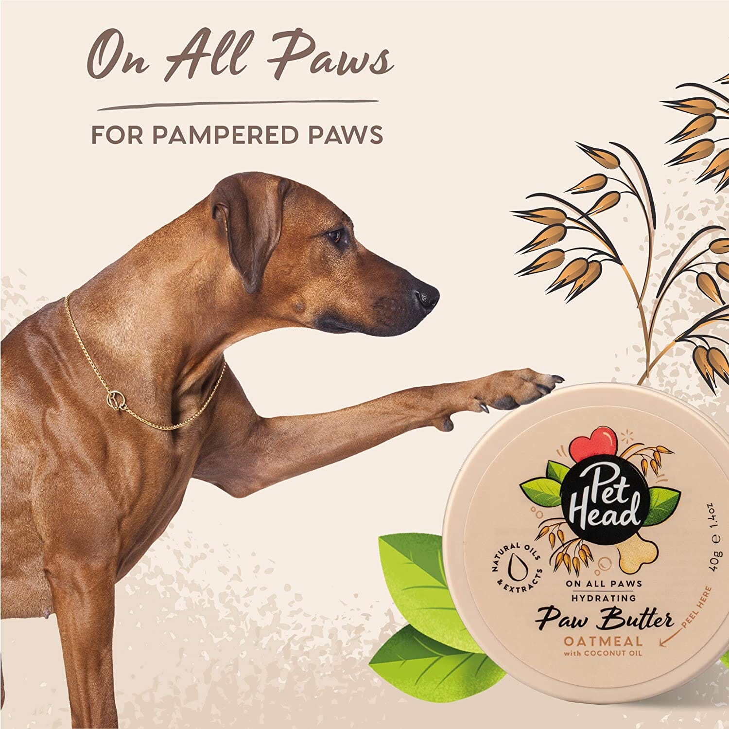 Pet Head On All Paws Paw Butter Dog Paw Care - Oatmeal - 1.4 Oz  