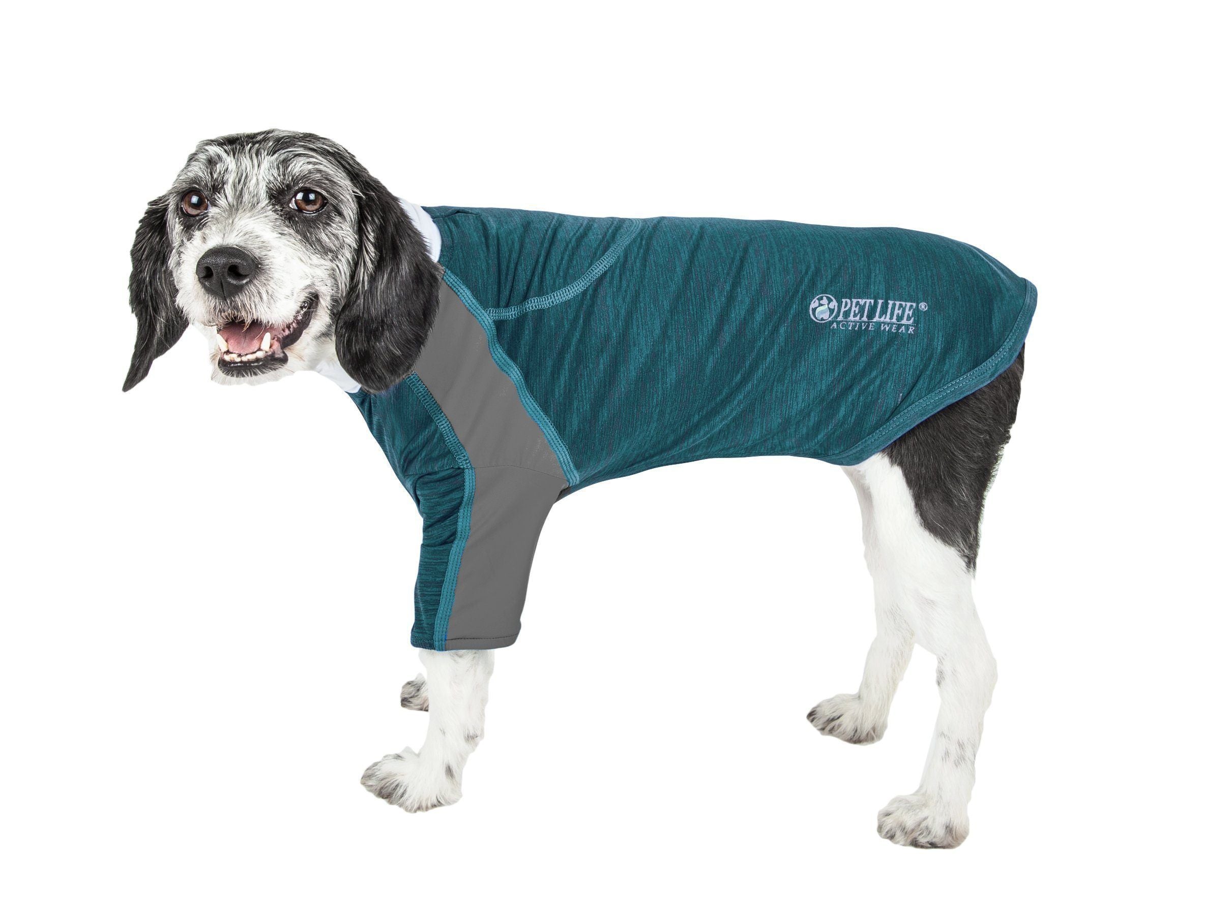 Pet Life ® Active 'Chewitt Wagassy' 4-Way-Stretch Yoga Fitness Long-Sleeve Dog T-Shirt X-Small Teal