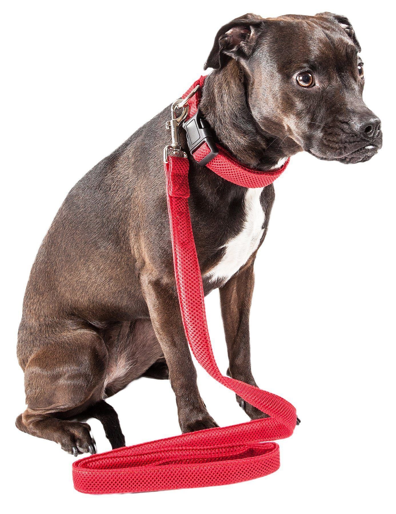 Pet Life ® 'Aero Mesh' 2-In-1 Breathable and Adjustable Dual-Sided Mesh Dog Leash and Collar Small Red
