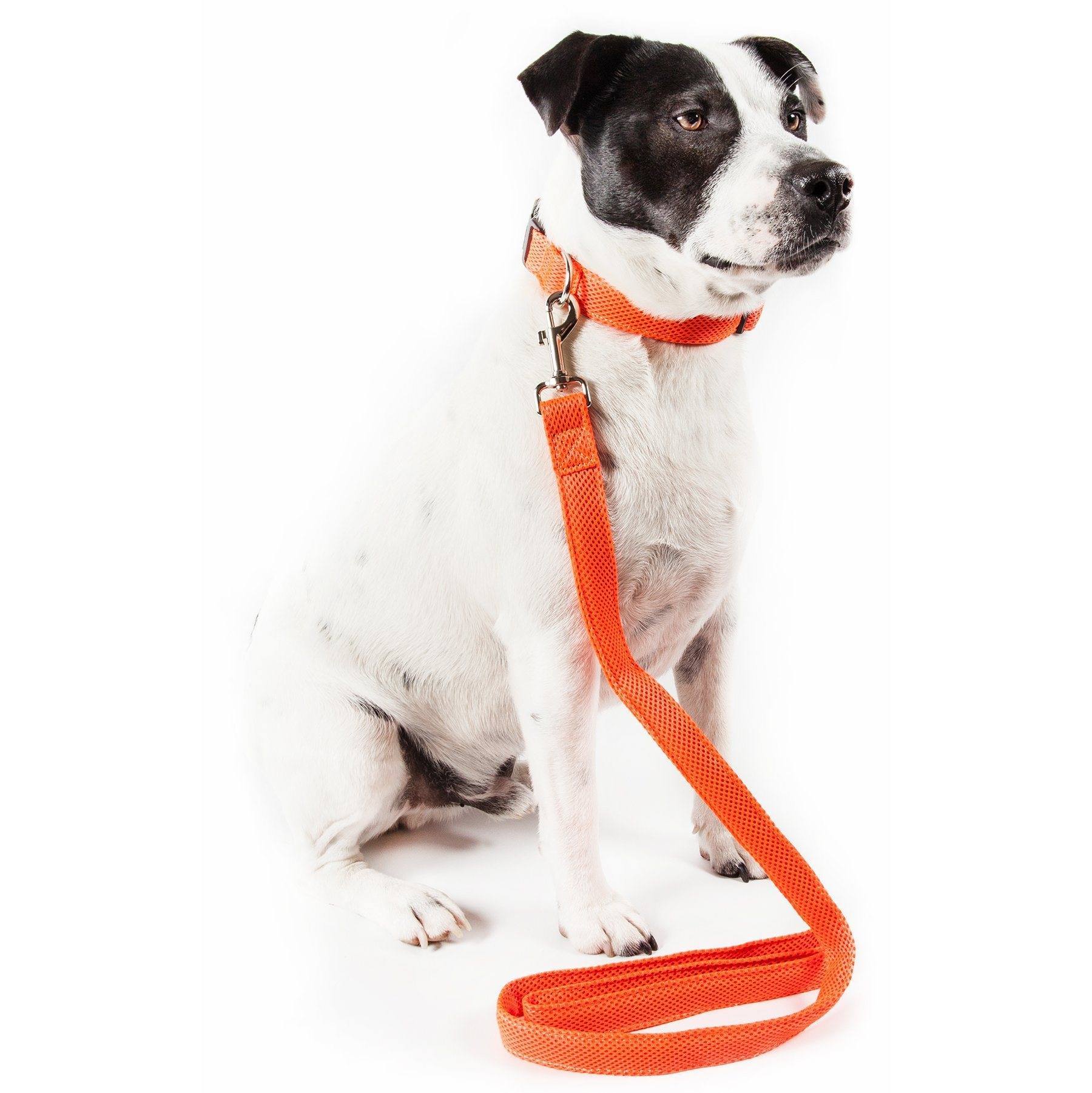 Pet Life ® 'Aero Mesh' 2-In-1 Breathable and Adjustable Dual-Sided Mesh Dog Leash and Collar Small Orange