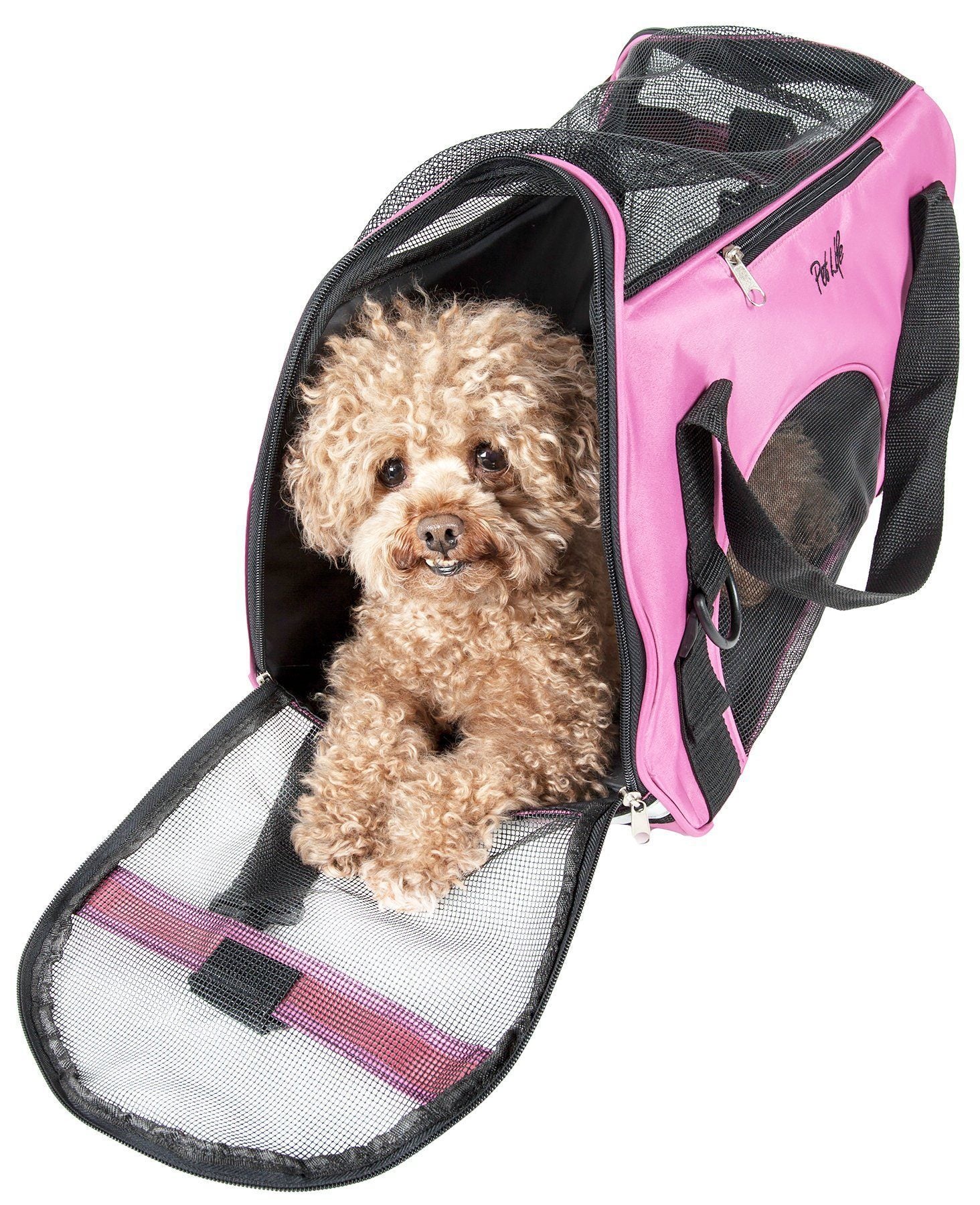 Pet Life ® 'Altitude Force' Airline Approved Sporty Zippered Folding Fashion Pet Dog Carrier  