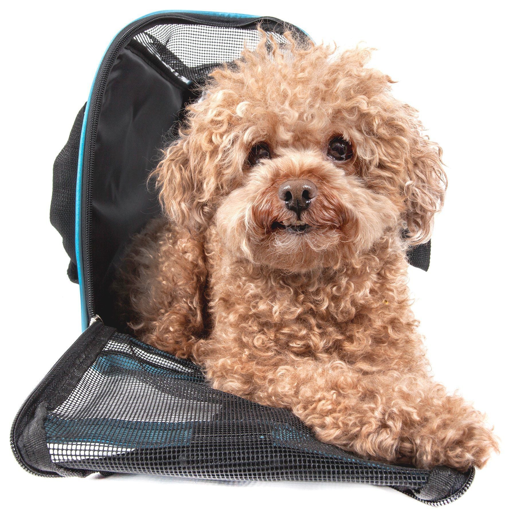 Pet Life ® 'Altitude Force' Airline Approved Sporty Zippered Folding Fashion Pet Dog Carrier  