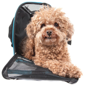 https://shop.petlife.com/cdn/shop/products/pet-life-r-altitude-force-airline-approved-sporty-zippered-folding-fashion-pet-dog-carrier-697674_300x.jpg?v=1573791807