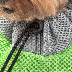 Chewy V Dog Backpack Harness
