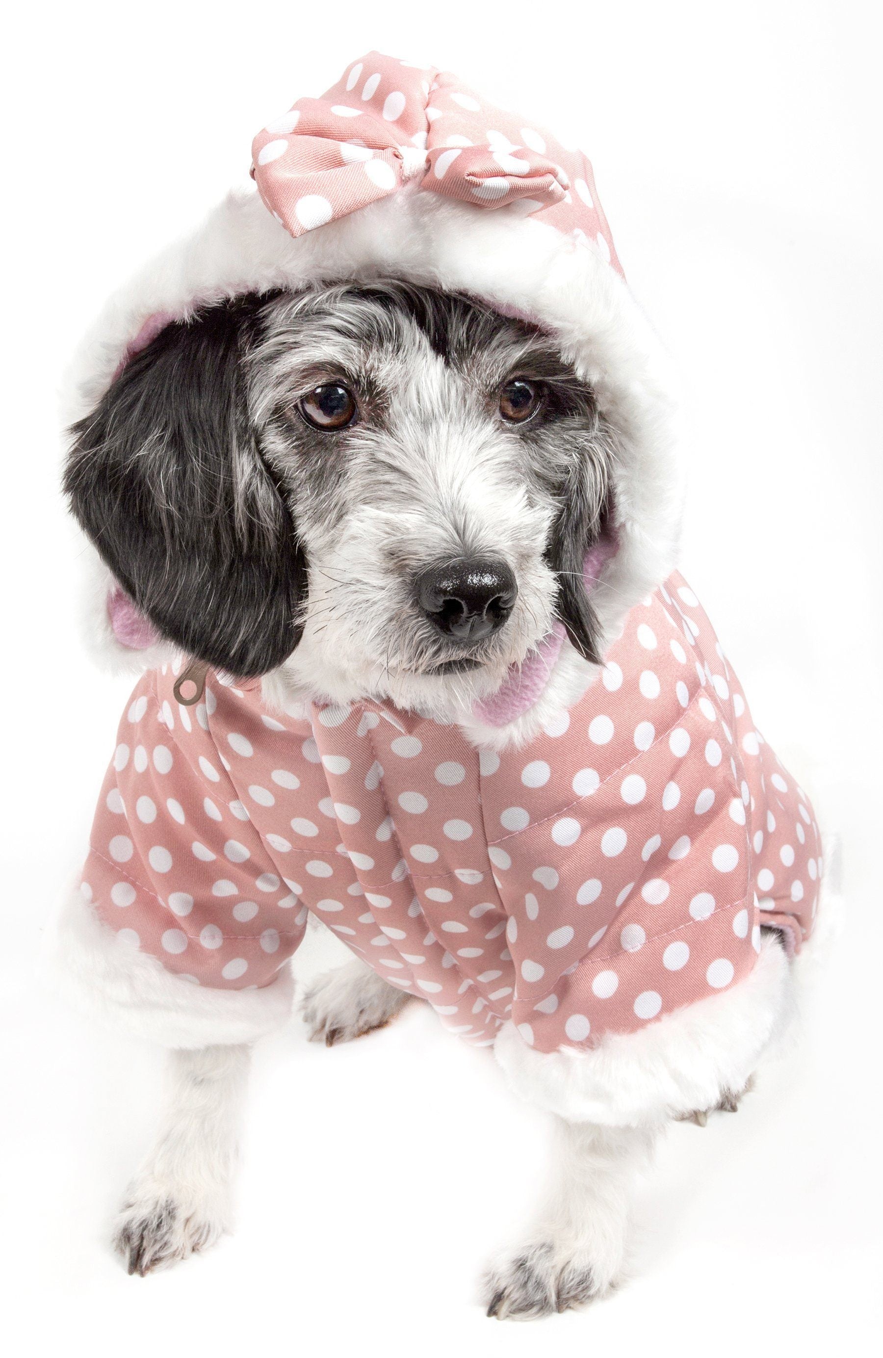 Pet Life ® 'Bow-Couture' Polka-Dot Bowed Insulated Dog Sweater Jacket  