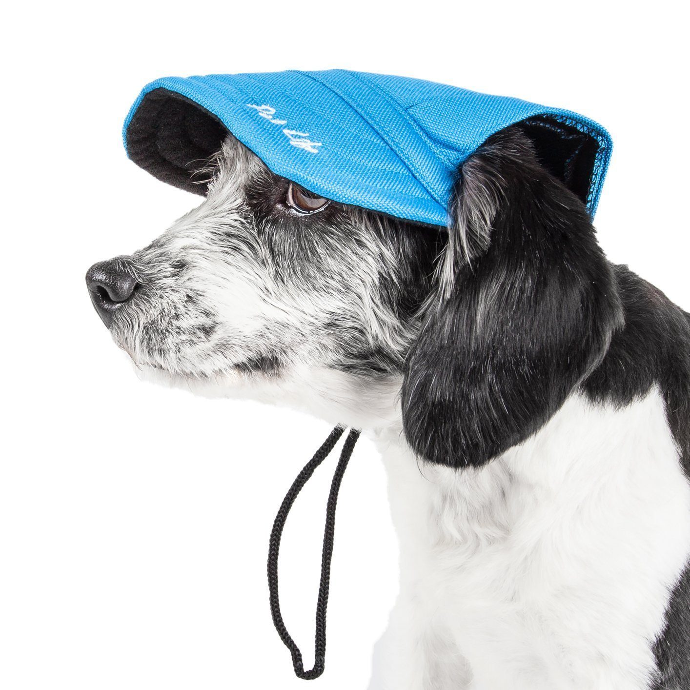 Pet Life ®  'Cap-Tivating' UV Protectant Adjustable Fashion Dog Hat Cap Medium Blue