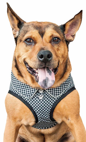 Pet Life ® 'Checkerwag' Checkered Mesh Reversed and Adjustable Fashion Dog Harness