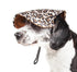 Pet Life ®  'Cheetah Bonita' Cheetah Patterned Uv Protectant Adjustable Fashion Dog Hat Cap Medium 