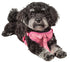 Pet Life ®  'Chichi Shaggy' Mesh Reversed Adjustable Fashion Dog Harness W/ Shaggy Neck Tie  