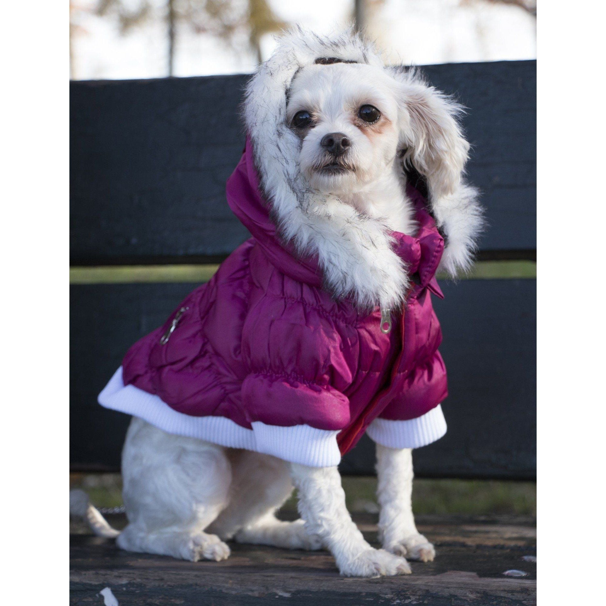 Pet Life ® Classic Metallic Fashion 3M Insulated Dog Coat Parka  w/ Removable Hood  