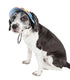 Pet Life ®  'Colorfur' UV Protectant Adjustable Fashion Canopy Brimmed Dog Hat Cap  
