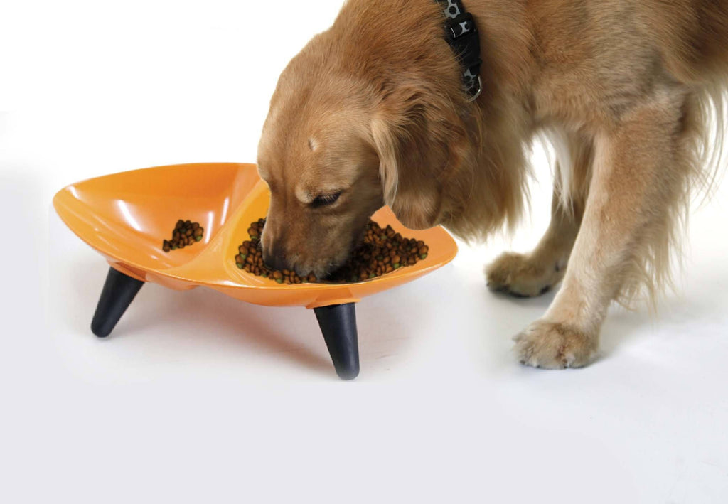 Fun Elements Ceramic Dog Bowls, Dog Bowls Large Sized Dog, 64 Fl Oz Heavy  Dog Food Bowls Dog Water Bowl for Medium Dogs with Adorable Dog Patterns
