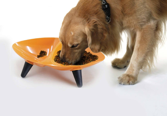 Pet Life ® 'Couture Sculptured' Dishwasher Safe Melamine Food and Water Double Pet Bowl
