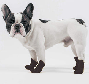 Dog shoes for on sale labs