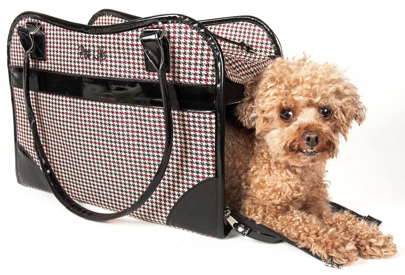 Touchdog 'Wiggle-Sack' Fashion Designer Front and Backpack Dog Carrier - Medium / Navy