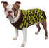 Pet Life ® Fashion Weaved Heavy Knit Designer Ribbed Turtle Neck Dog Sweater X-Small Choco Brown And Neon Green