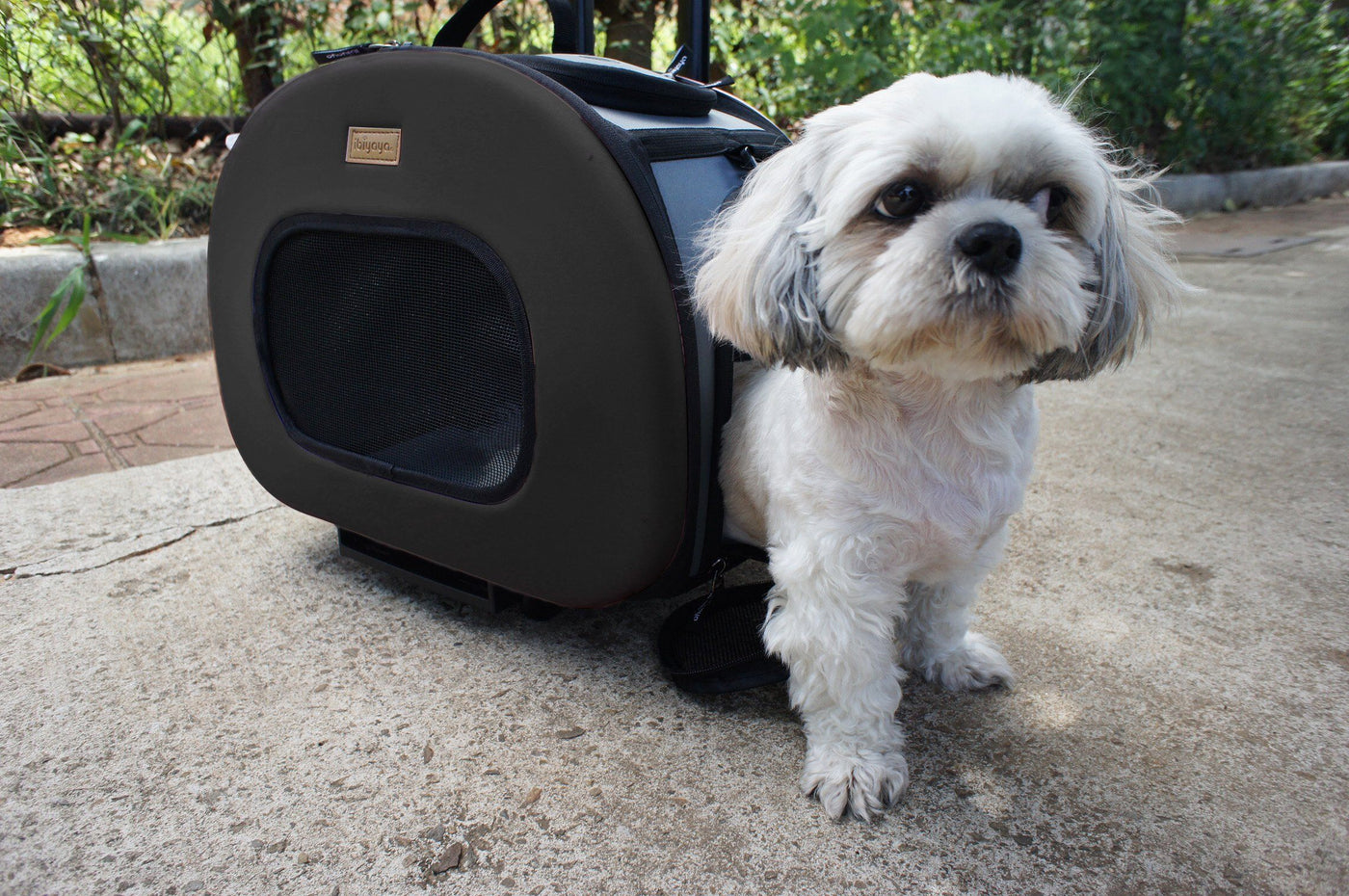 Pet Life Grey Circular Shelled Perforate Collapsible Military Grade  Transporter Pet Carrier, 18.2 L X 14.6 W X 12.2 H