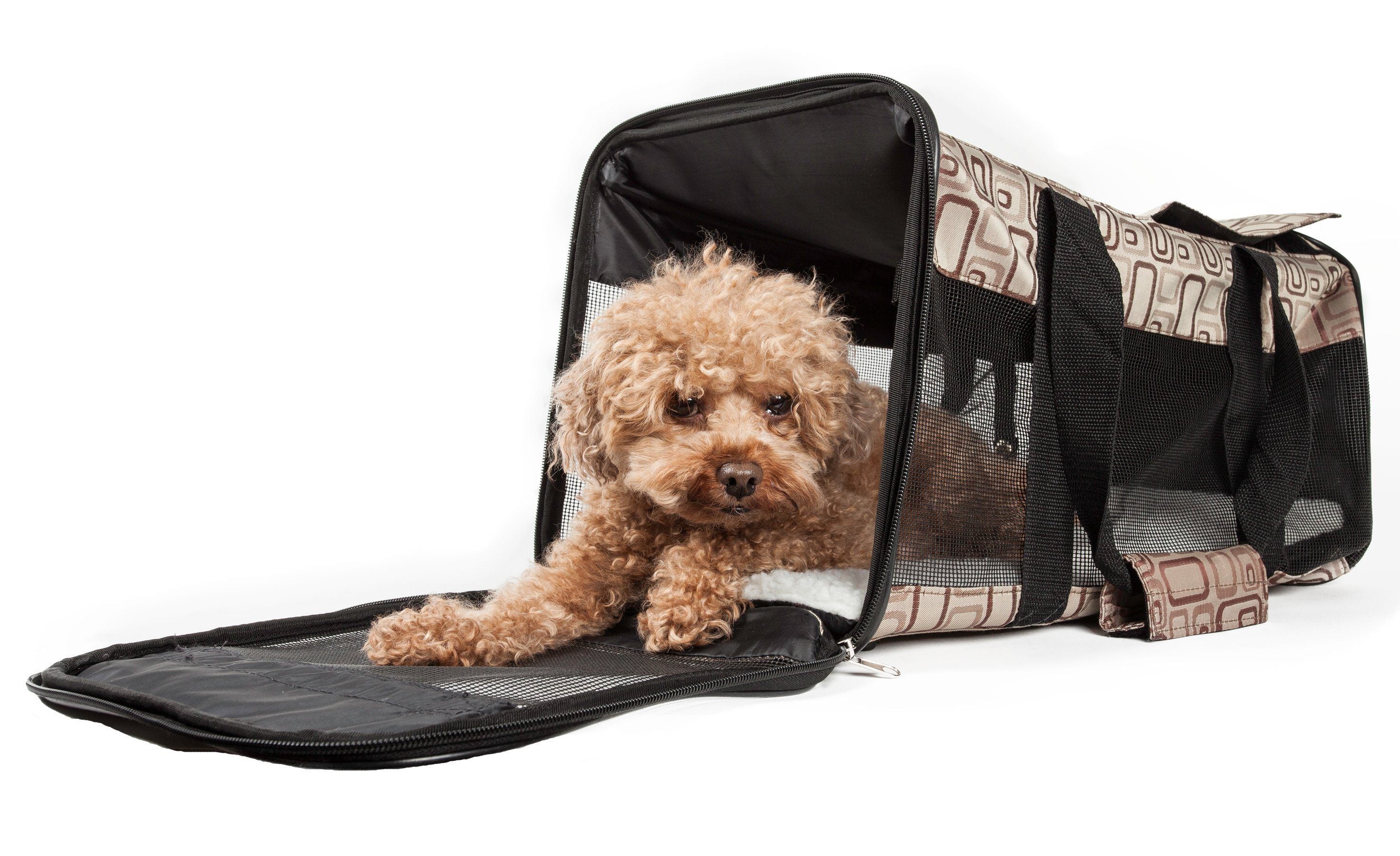 Pet Life ® 'Flightmax' Airline Approved Collapsible Folding Travel Pet Dog Carrier  