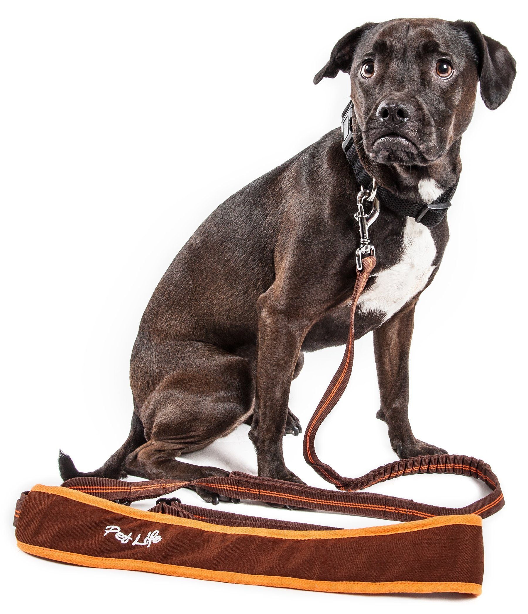 Pet Life ®  'Free-Fetcher' Hands Free Over-The-Shoulder Shock Absorbent Dog Leash Small Brown