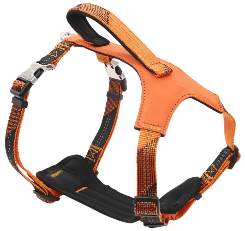 Pet Life ® 'Geo-prene' 2-in-1 Shock Absorbing Neoprene Padded Reflective Dog Leash and Harness  