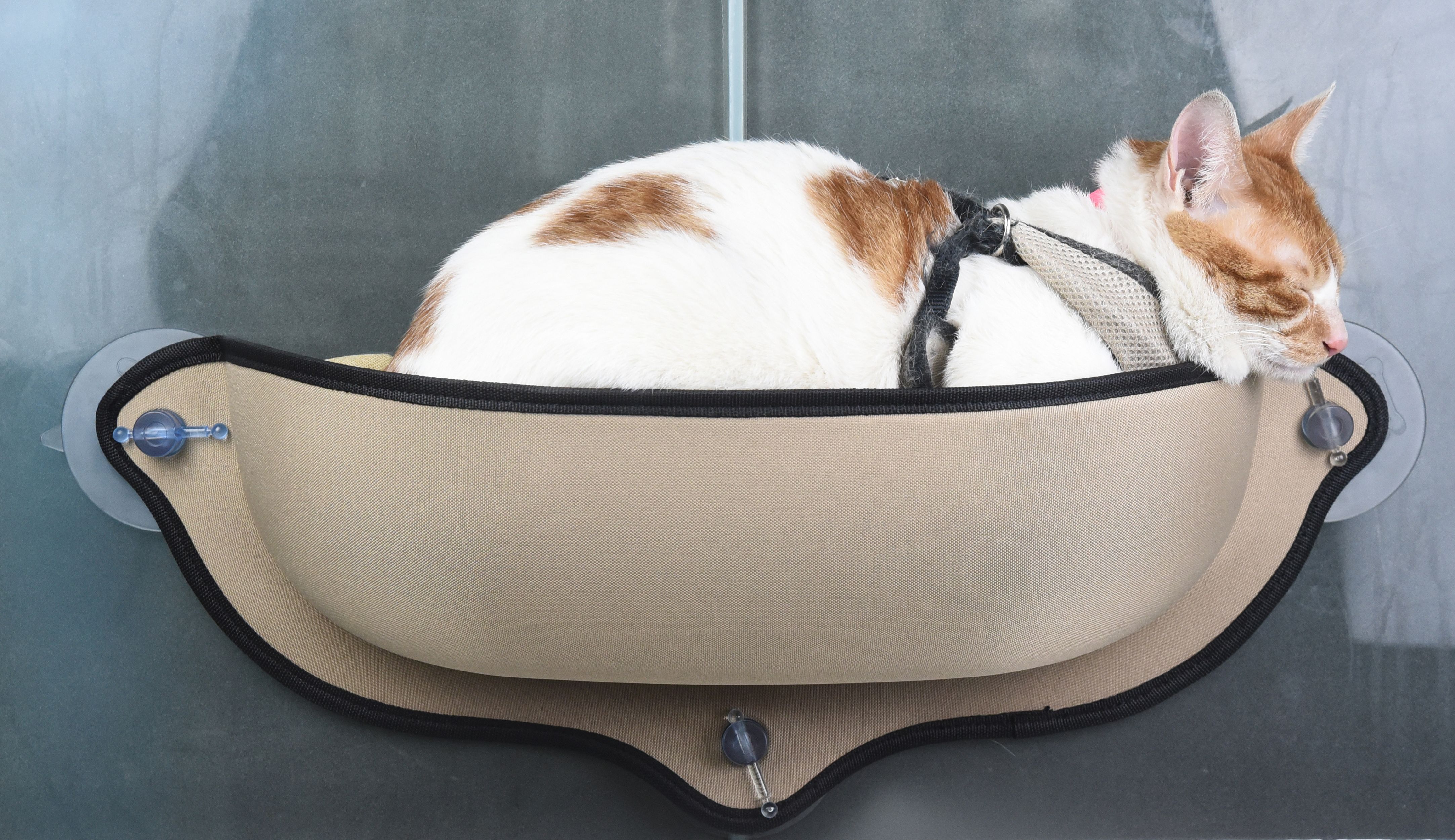 Pet Life ® 'Gravity-Lounge' Suction Cup Kitty Cat Lounger and Bed  