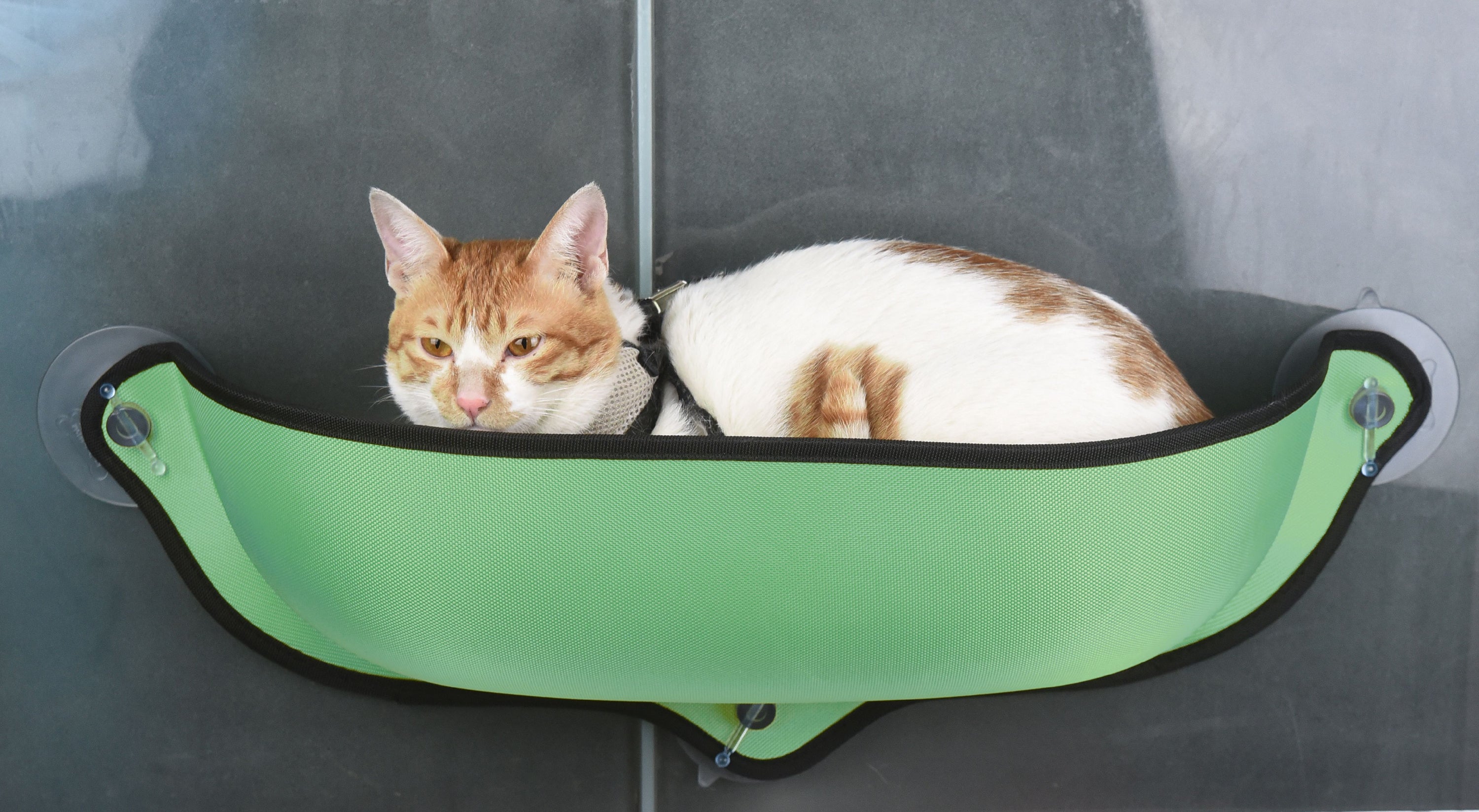 Pet Life ® 'Gravity-Lounge' Suction Cup Kitty Cat Lounger and Bed  