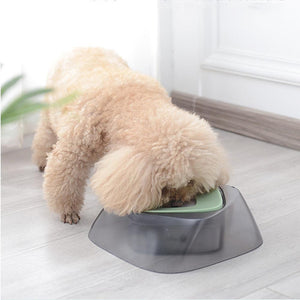 https://shop.petlife.com/cdn/shop/products/pet-life-r-hydritate-anti-puddle-cat-and-dog-drinking-water-bowl-449123_300x.jpg?v=1599766657