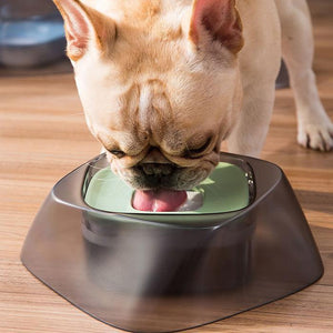 Bulldog water hot sale bowl