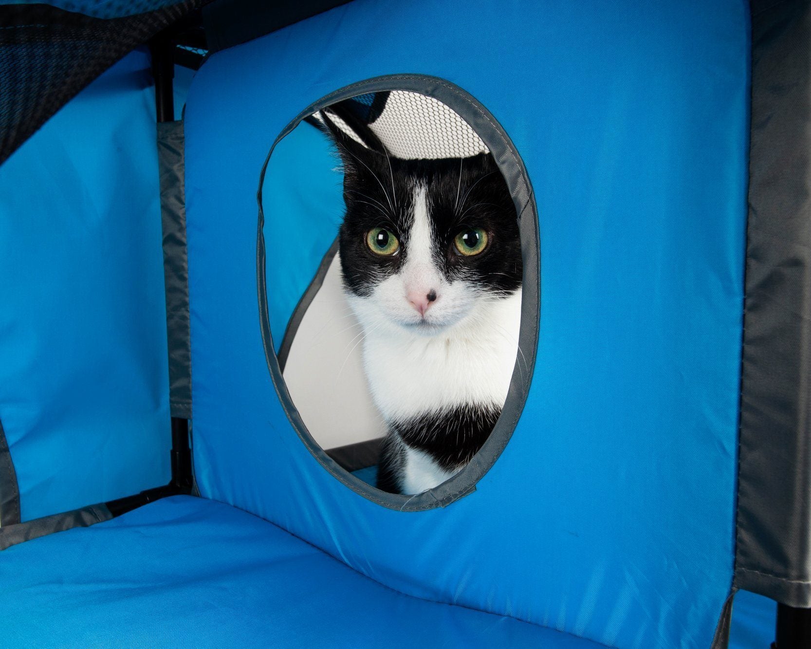 Pet Life ® 'Kitty-Play' Collapsible Travel Interactive Kitty Cat Tree Maze House Lounger Tunnel Lounge  