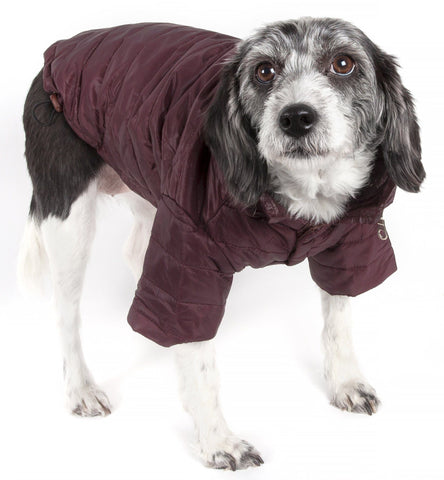 https://shop.petlife.com/cdn/shop/products/pet-life-r-lightweight-adjustable-and-collapsible-sporty-avalanche-dog-coat-w-pop-out-zippered-hood-295040_large.jpg?v=1573790038